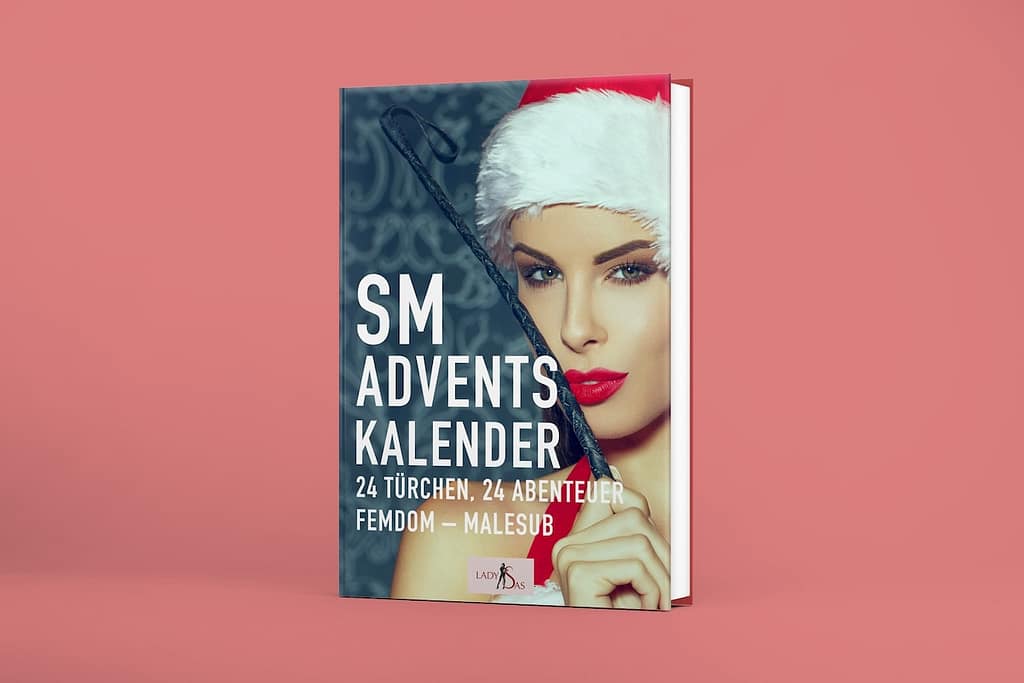 SM Adventskalender Buch