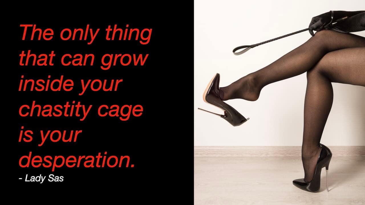 A dominant woman in black stockings and high heels crosses her legs while holding a riding crop, displayed beside a quote about chastity and desperation.