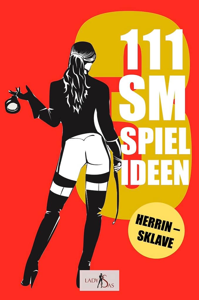 111 SM Spielideen Buch 3: Cover