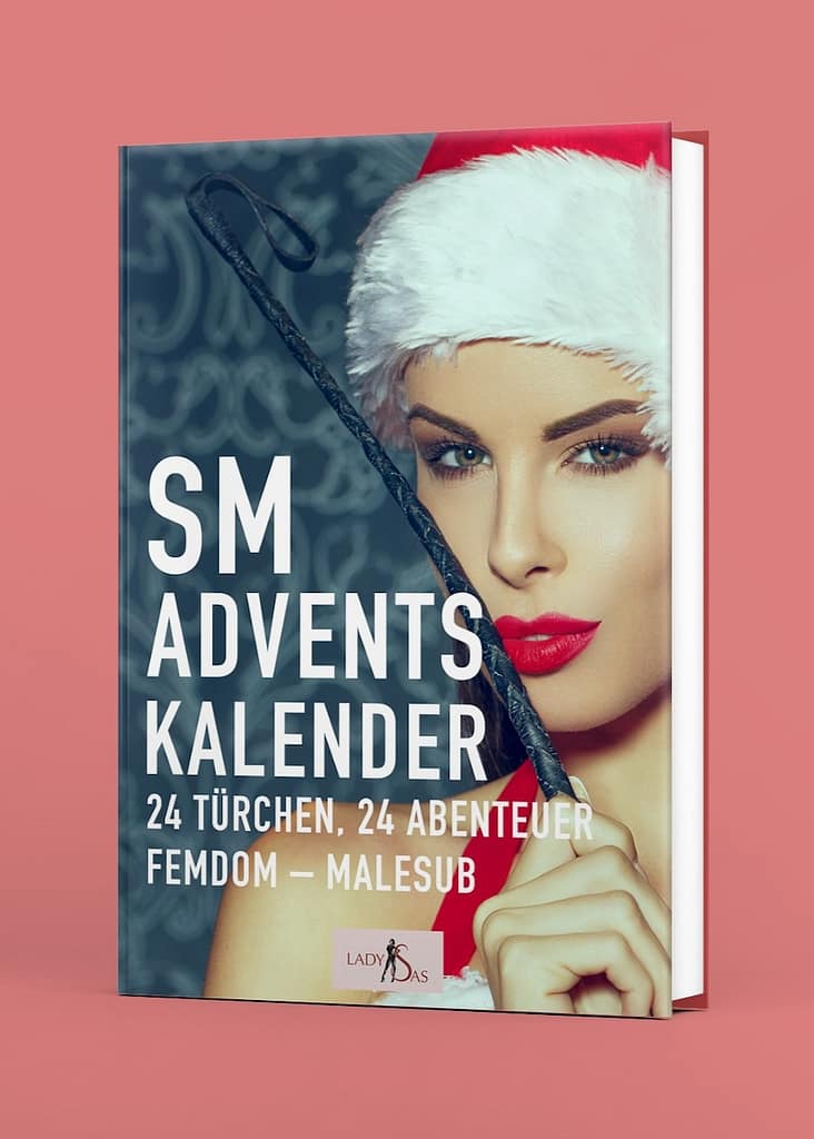 SM Adventskalender Buch von Lady Sas