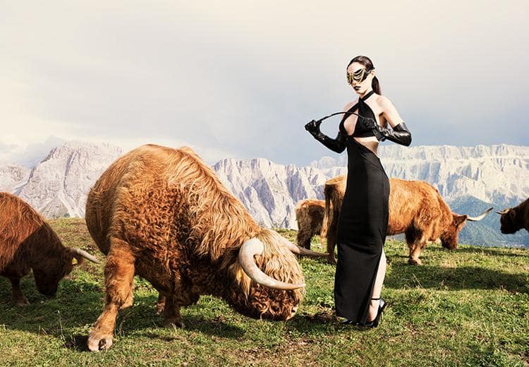 Domina in München: Lady Jane als Domina auf einer Wiese mit Bullen. Fashionfoto.