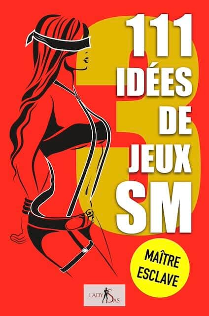 111 IDÉES DE JEUX BDSM, MAÎTRE - ESCLAVE, VOLUME 3