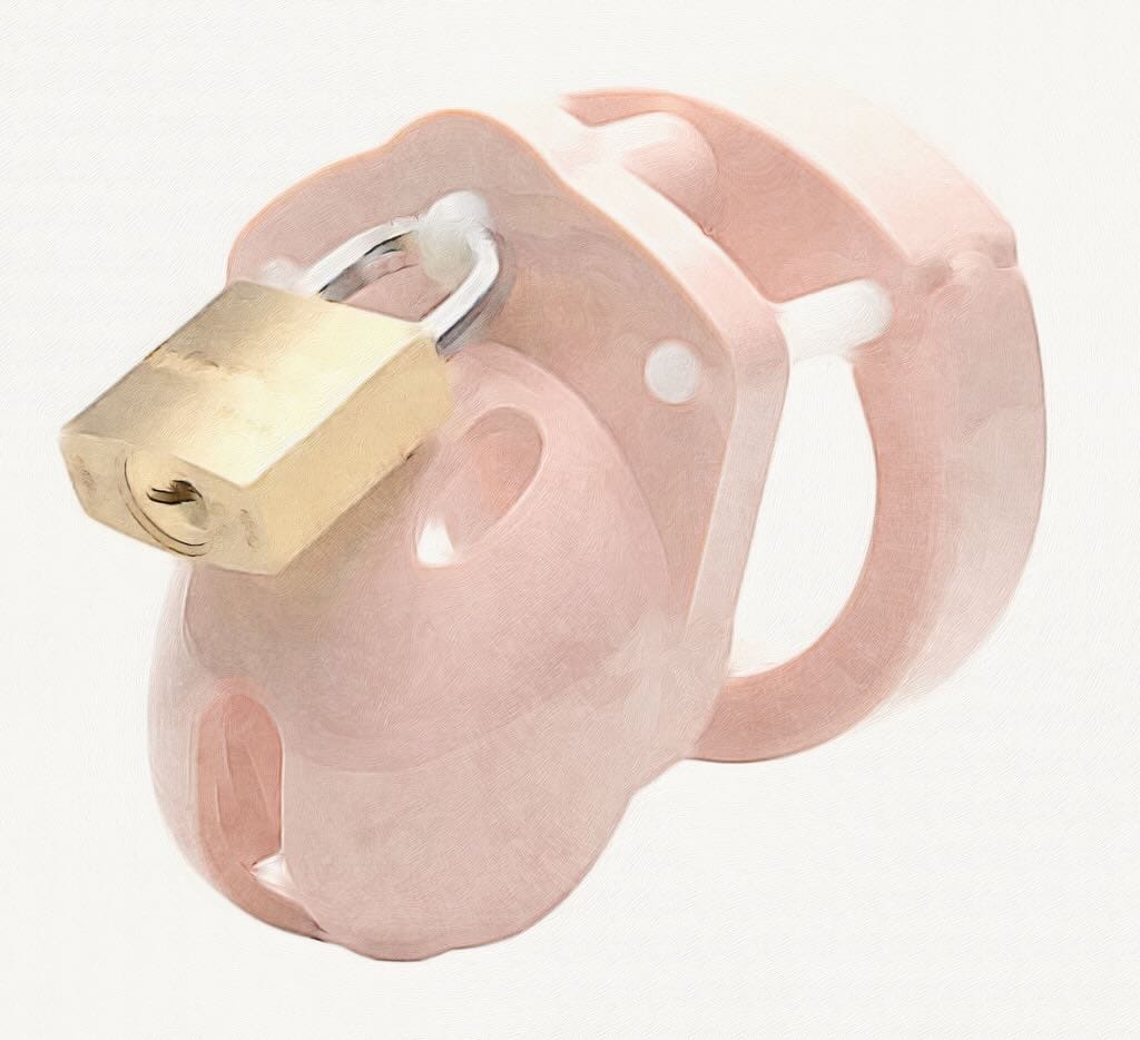 Sissy Chastity Cage: mini me sissy cage