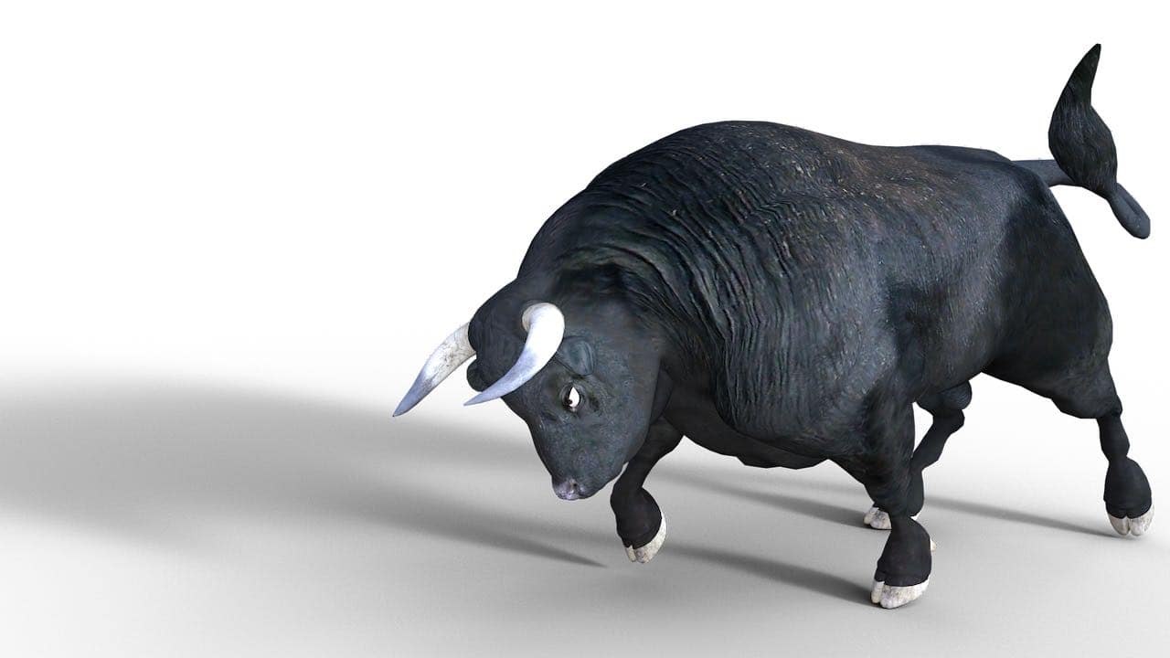 Bull Cuckolding