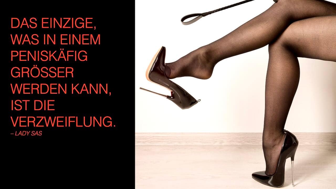 Keuschheitskaefig Leitfaden