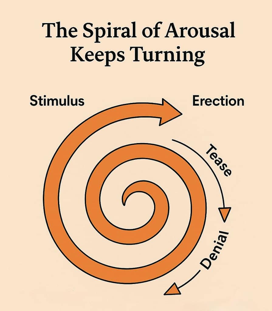 Diagram showing the principle of Tease and Denial: instead of a straight line from arousal to orgasm, a spiral of arousal with repeated cycles of teasing and denial builds ever-increasing desire.