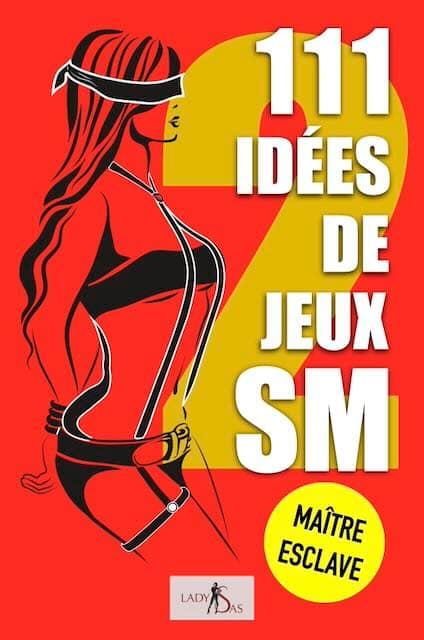 111 IDÉES DE JEUX BDSM, MAÎTRE - ESCLAVE, VOLUME 2