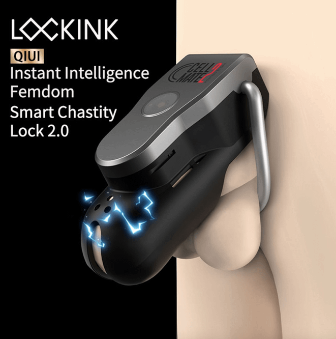 Elektro Chastity Cage: Cellmate 2 by Qiui