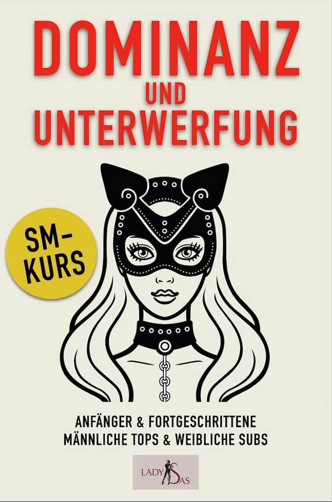 bdsm kurs buch