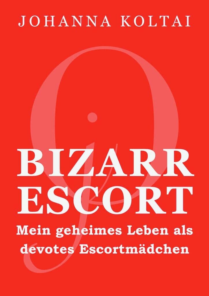 bdsm buch